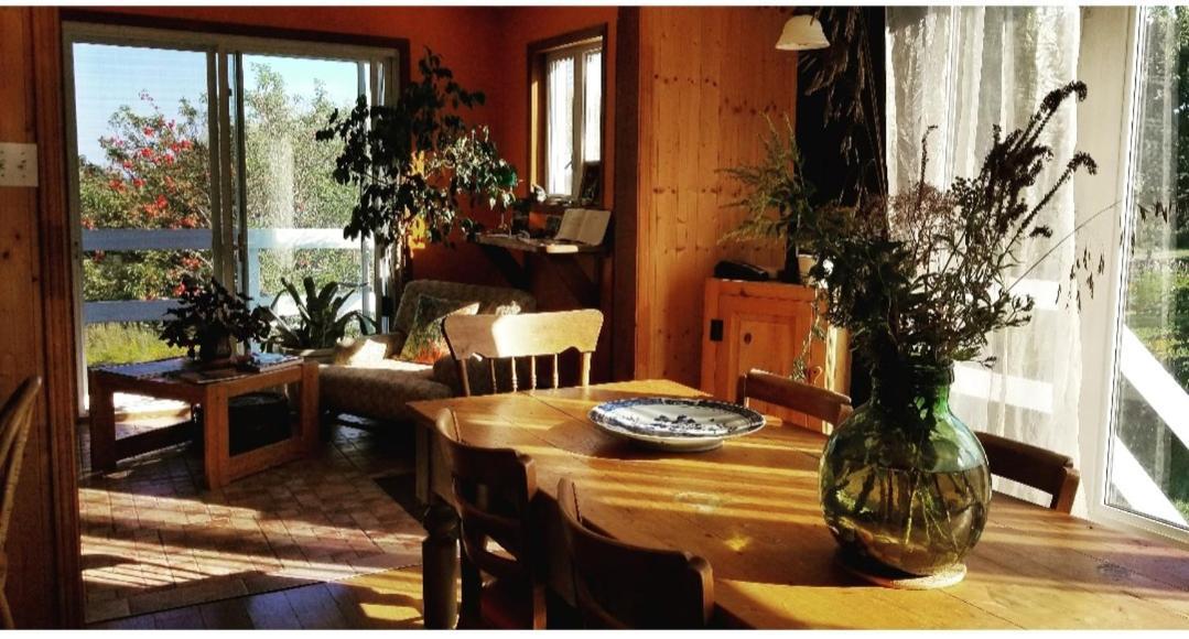 Gîte Aux Jardins De L'Anse Percé Extérieur photo