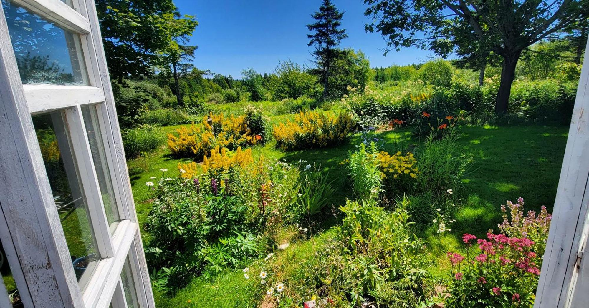 Gîte Aux Jardins De L'Anse Percé Extérieur photo