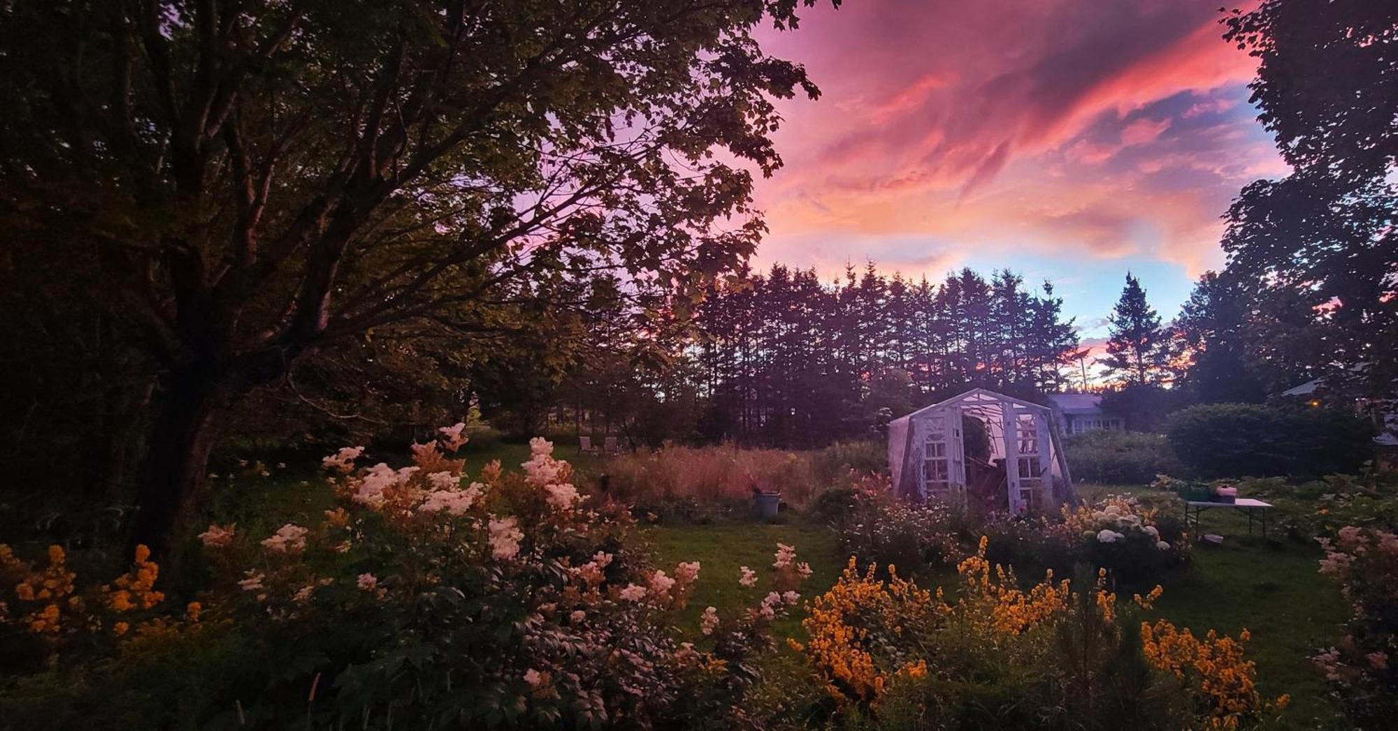 Gîte Aux Jardins De L'Anse Percé Extérieur photo