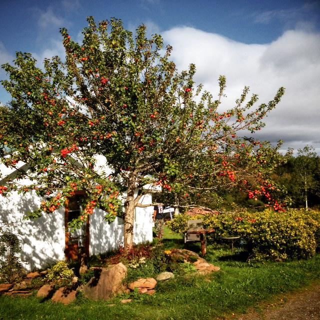 Gîte Aux Jardins De L'Anse Percé Extérieur photo