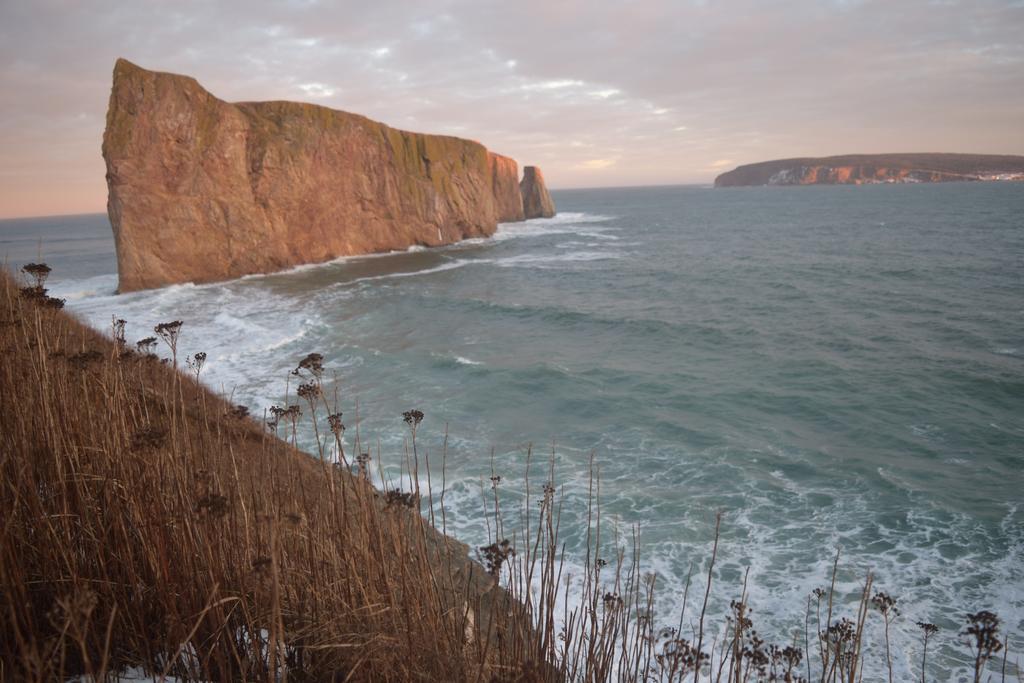 Gîte Aux Jardins De L'Anse Percé Extérieur photo