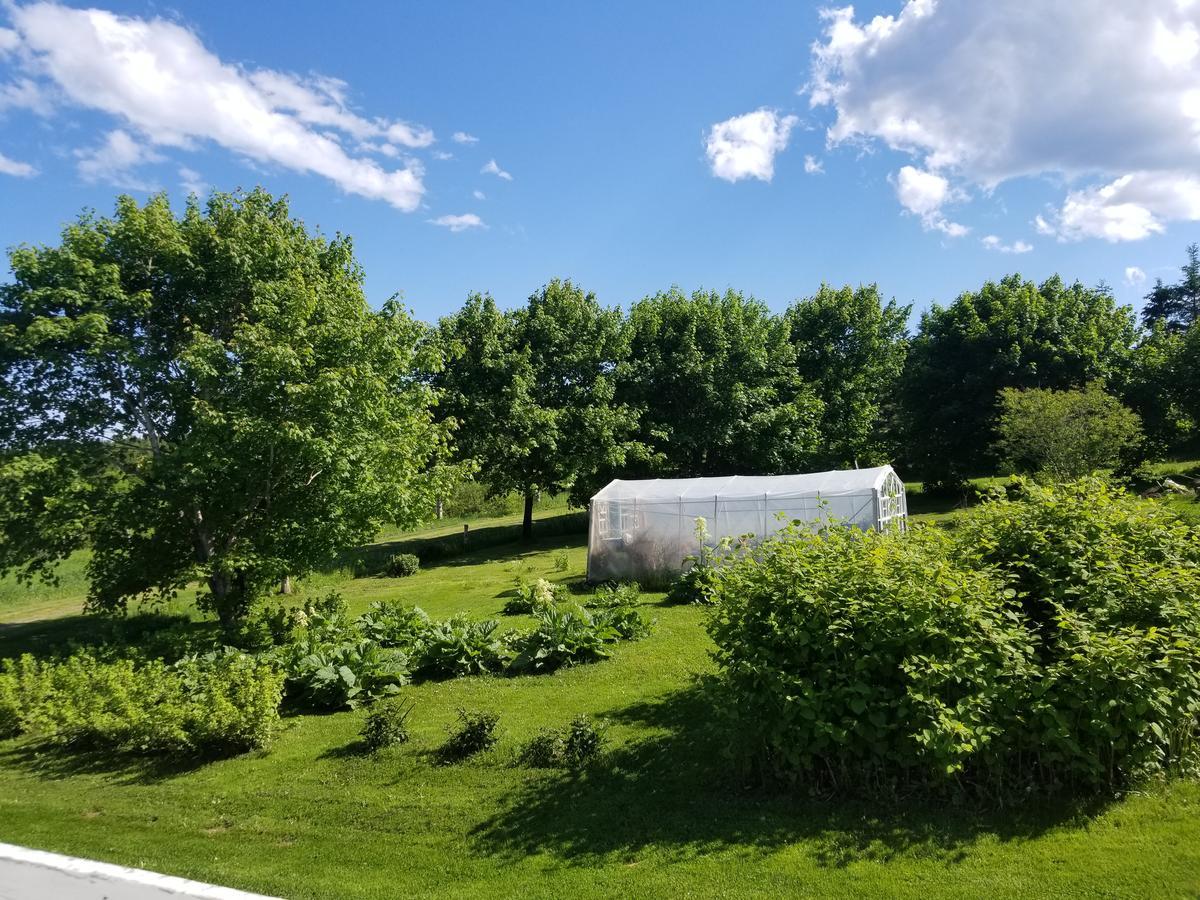 Gîte Aux Jardins De L'Anse Percé Extérieur photo
